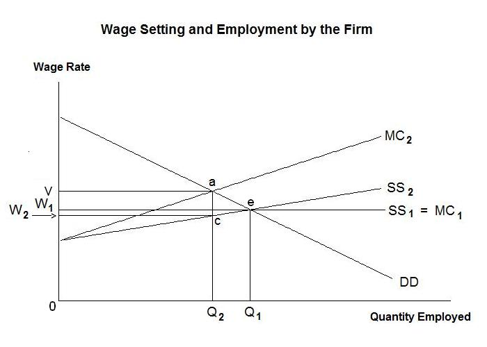 The Labour Market Competition And Monopsony