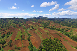 farmland in the Philippines