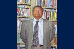 Professor emeritus Wahidul Haque